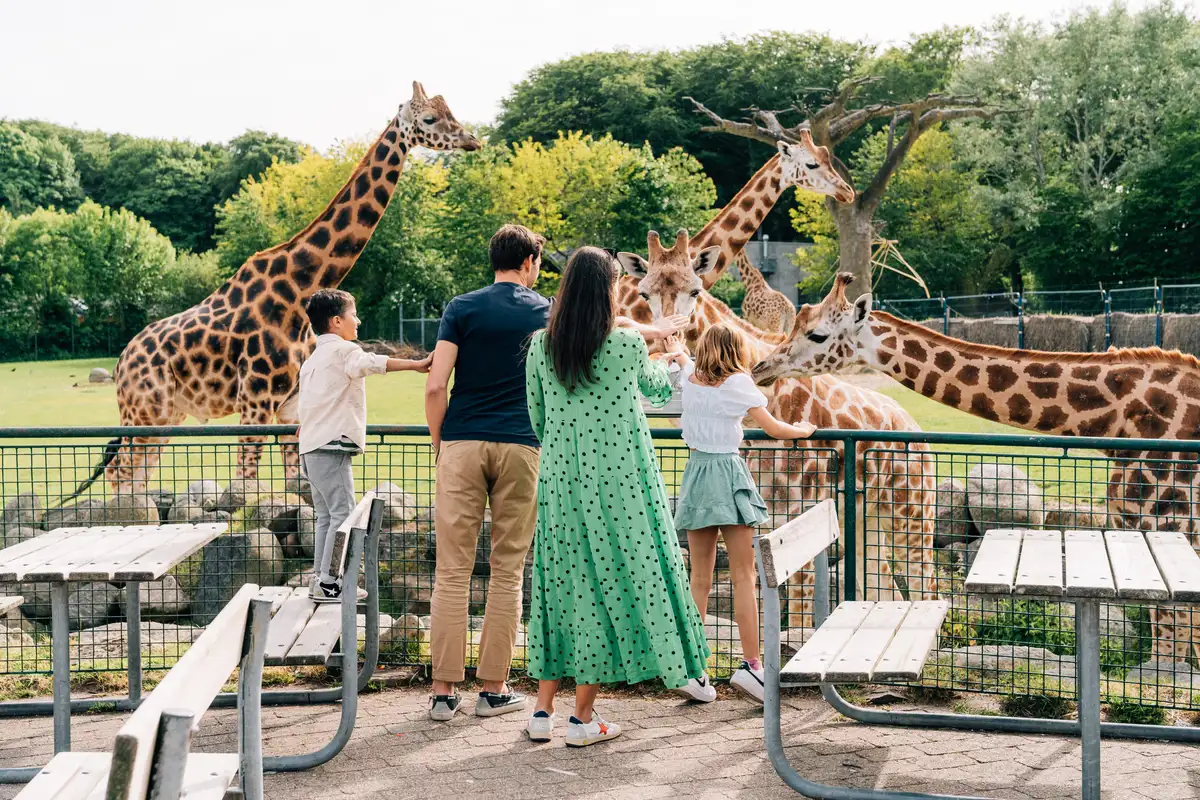 Aalborgzoo (8)