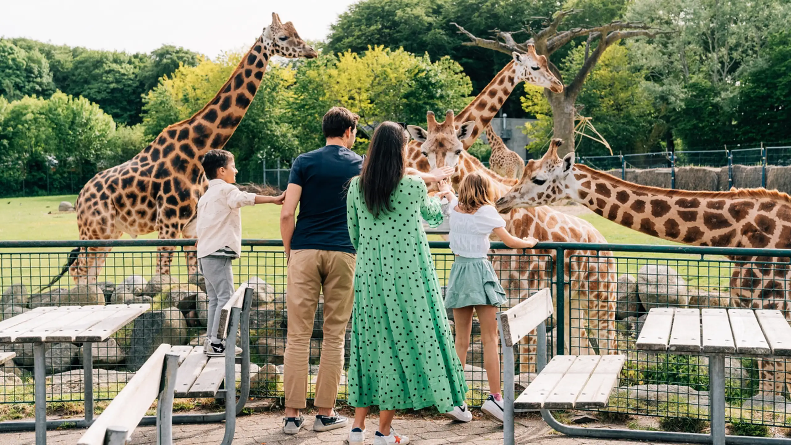 Aalborgzoo (8)