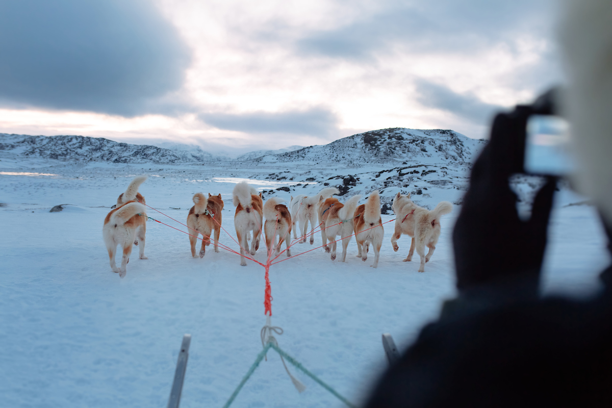 Tourist On Dog Sled Near Ilulissat. Photo Rebecca Gustafsson , Visit Greenland