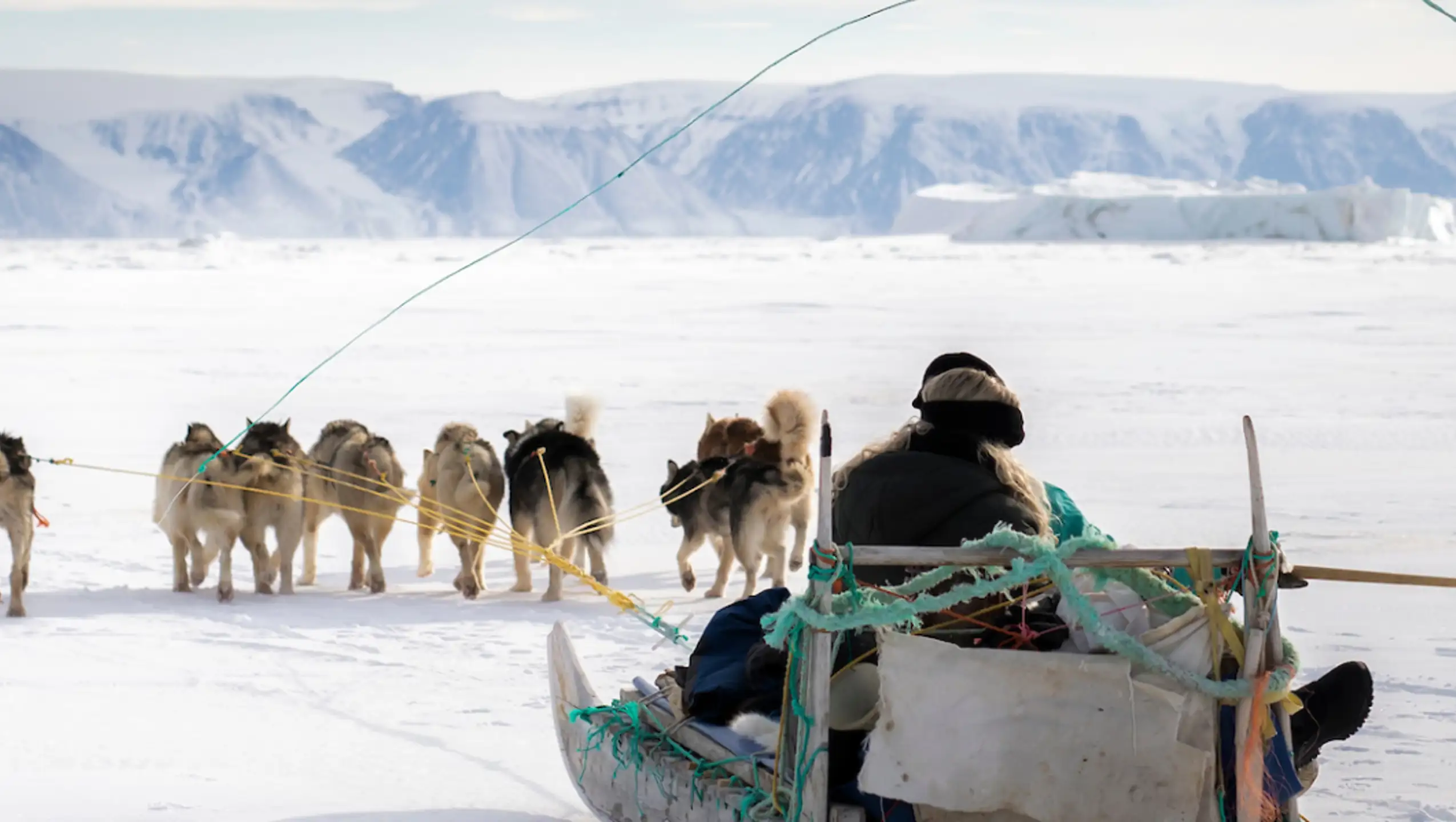 Dogsledding On Sea Ice Photo Aningaaq Rosing Carlsen Visit Greenland