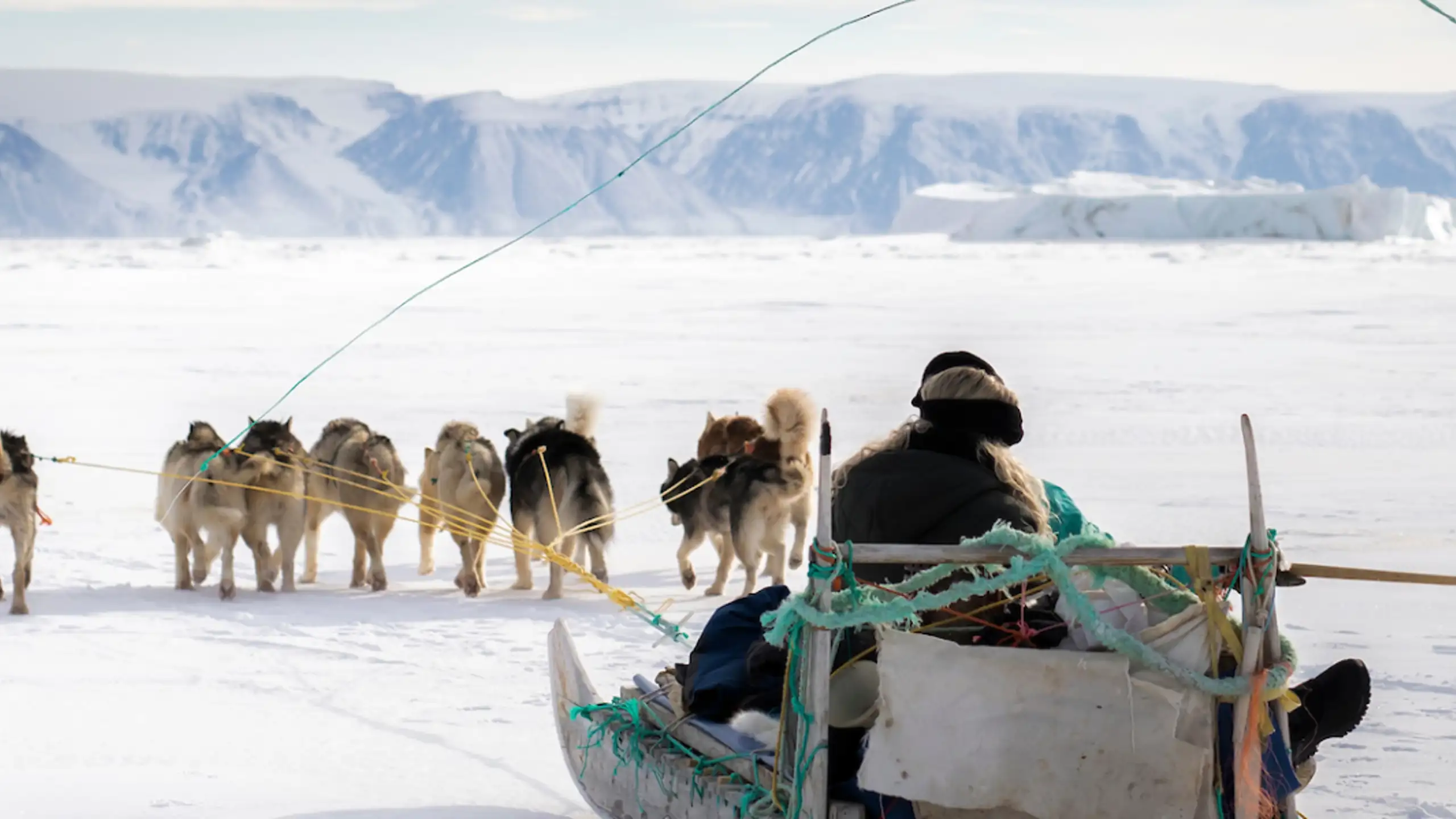 Dogsledding On Sea Ice Photo Aningaaq Rosing Carlsen Visit Greenland