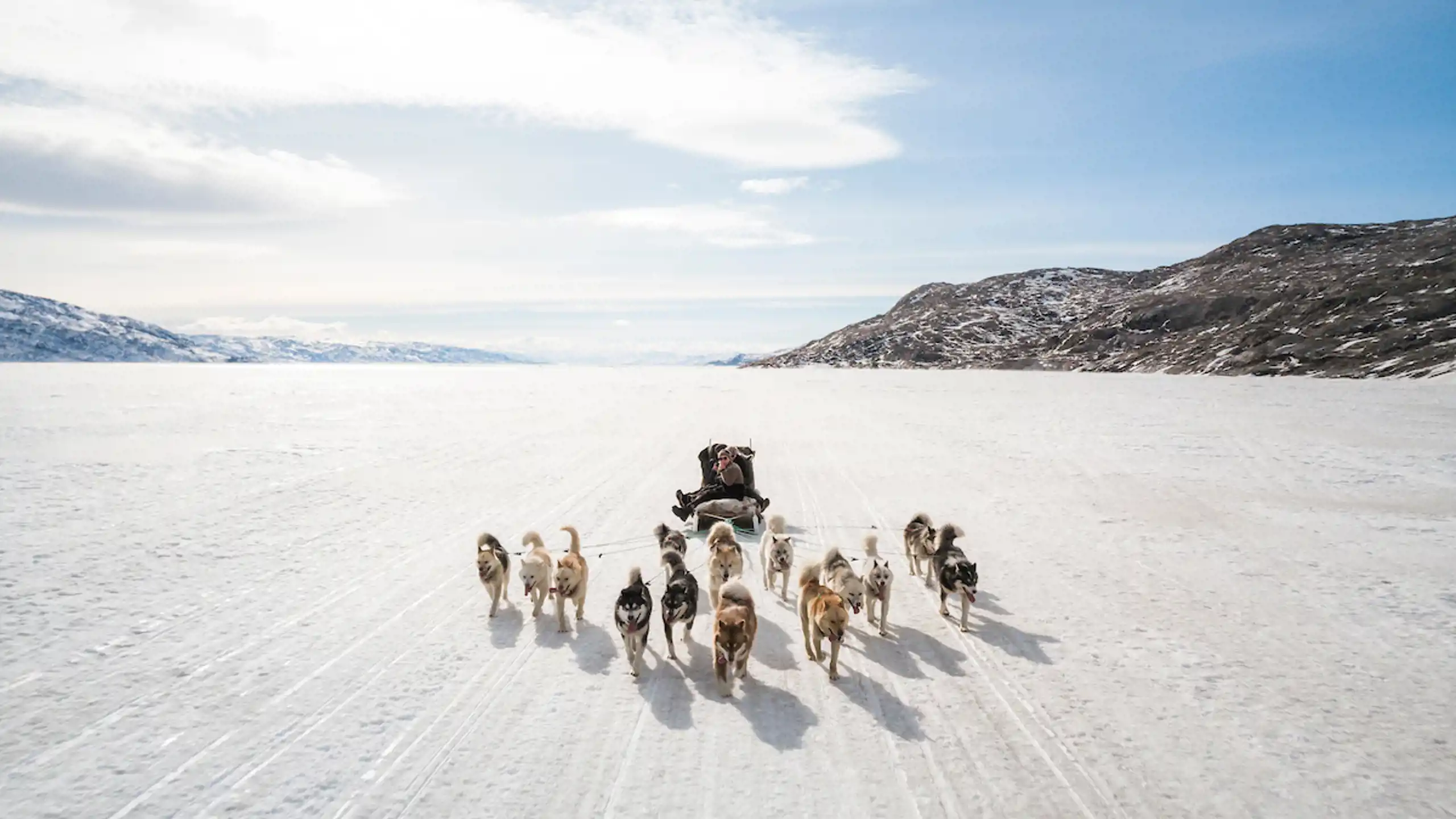 Dogsledding Musher Twins. Photo Aningaaq R. Carlsen, Visit Greenland (1)