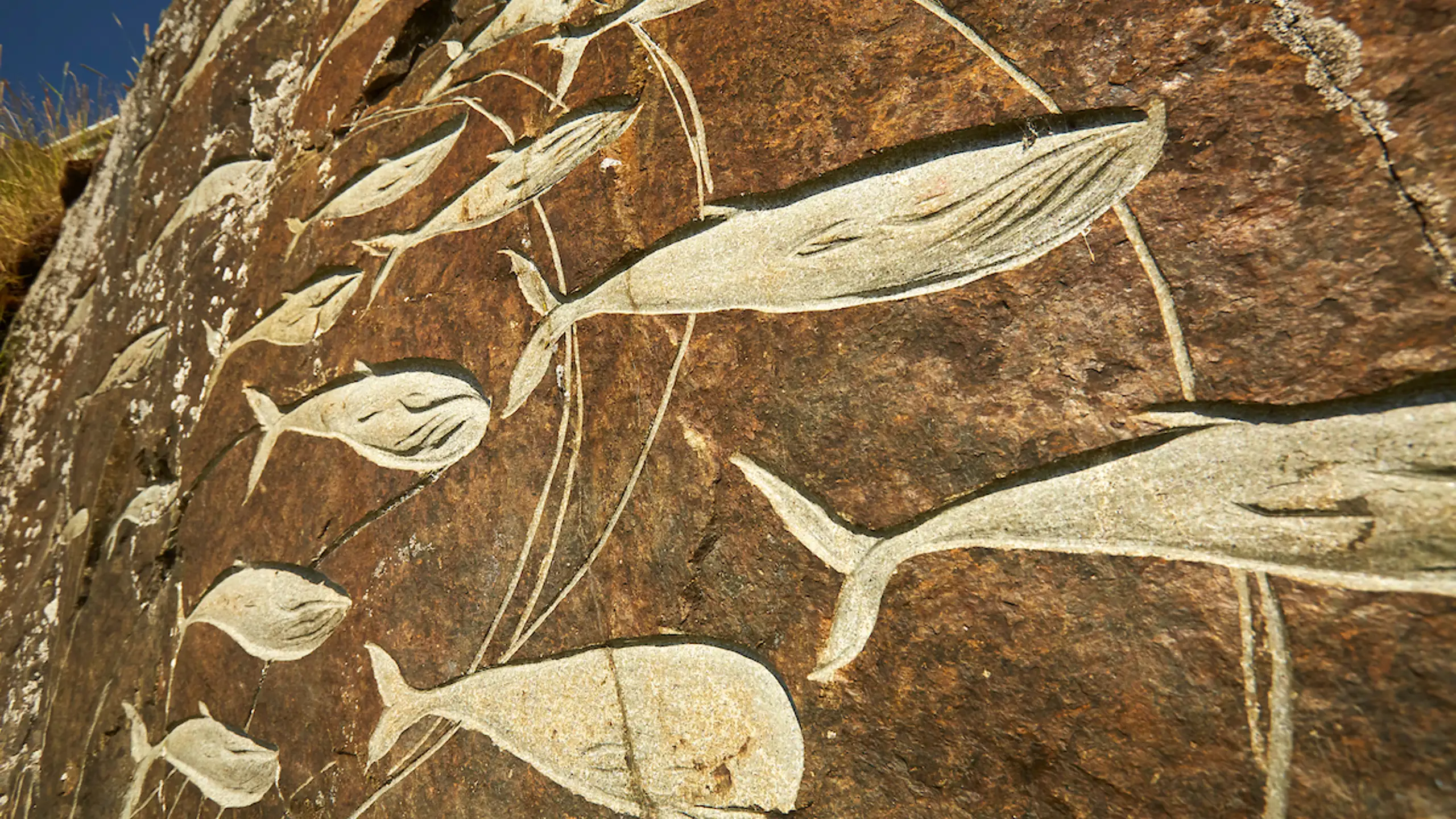 Whale Art By Aka Høegh, Qaqortoq. Photo Peter Lindstrom , Visit Greenland