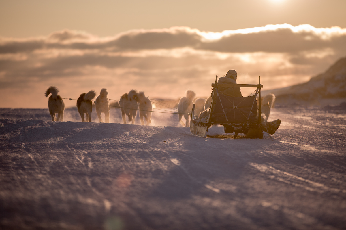 A Dog Sled Heading Into The Sunset Near Sisimiut In Greenland