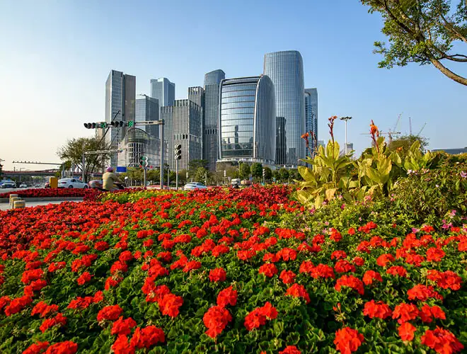 DOHA